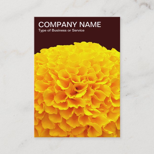 Carte De Visite Orange Chrysanthème - Brown foncé (Devant)