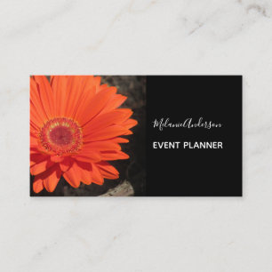 Carte De Visite Orange Daisy Flower Photo