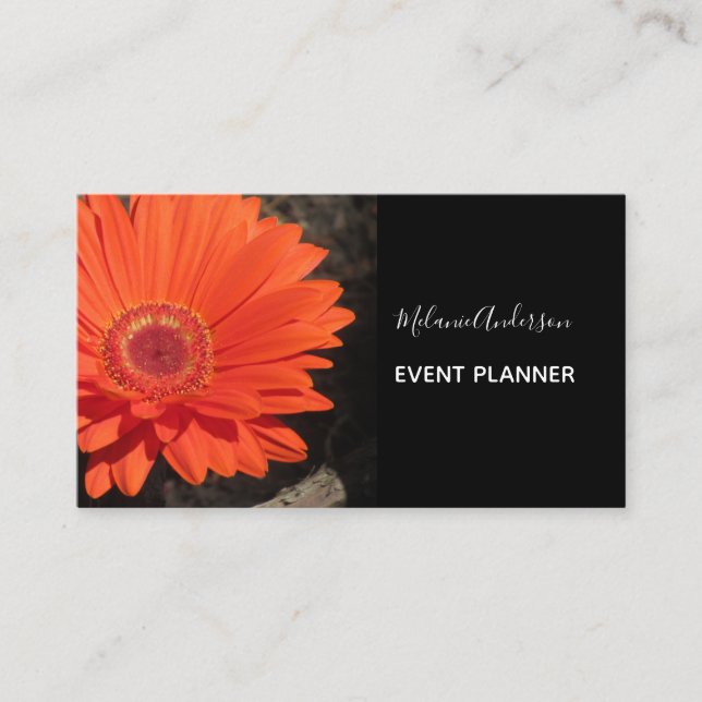 Carte De Visite Orange Daisy Flower Photo (Devant)