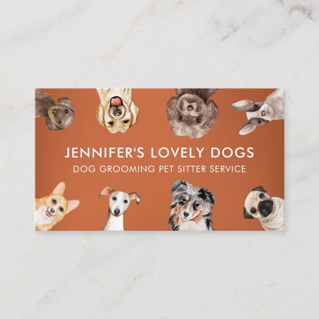 Carte De Visite Orange Funny Chiens de petite taille Pet Sitter (Devant)