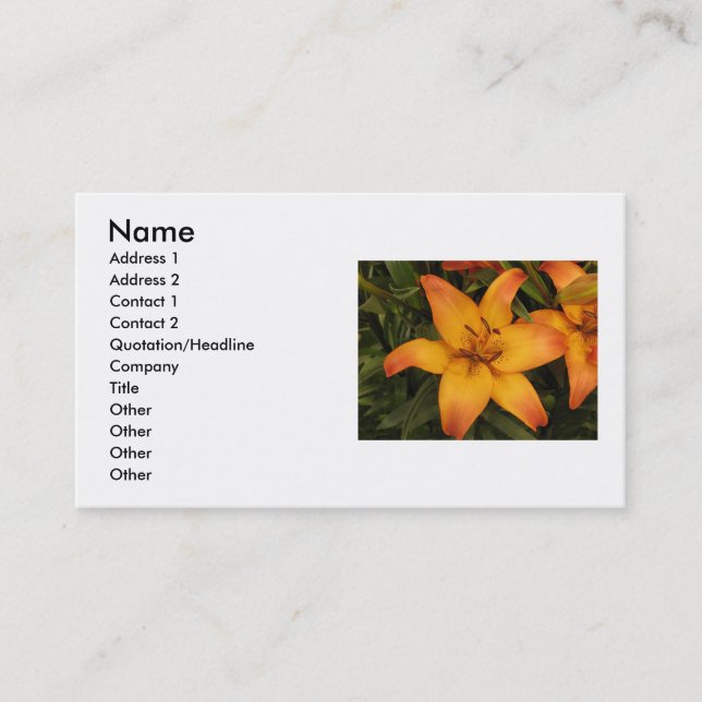 Carte de visite Orange Lily (Devant)