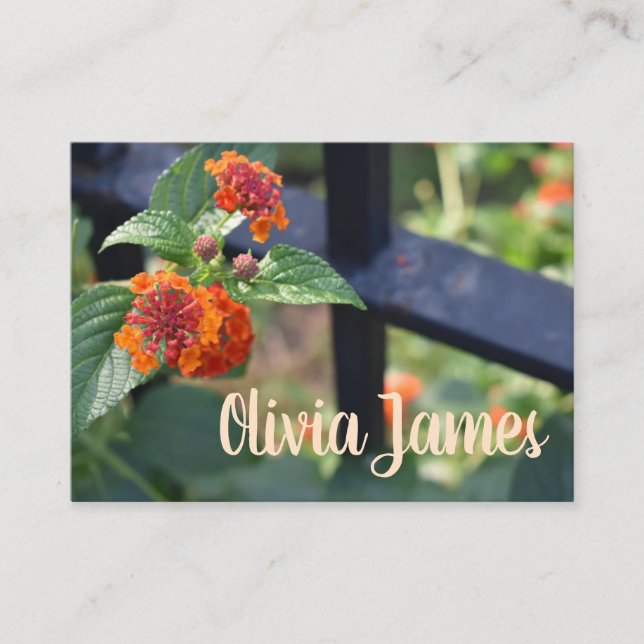 Carte De Visite Orange Rouge Lantana Jardin Fleur Nature Photo (Devant)