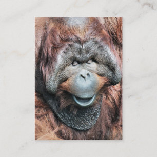 CARTE DE VISITE ORANGUTAN