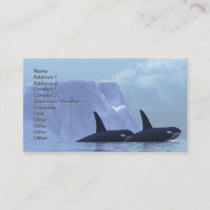 Carte De Visite Orca
