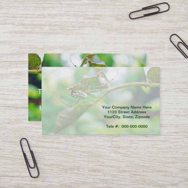 Carte De Visite Orchard Orbweaver Spider - Leucauge venusta (Devant/Arrière en situation)