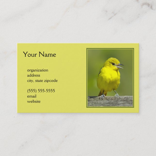 Carte De Visite Orchard Oriole - Photo originale (Devant)