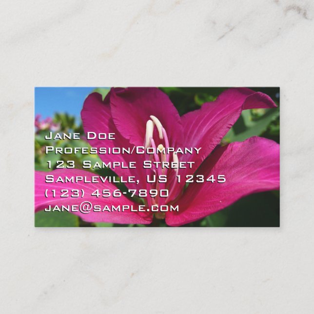 Carte De Visite Orchid Tree Blossom Tropical Floral (Devant)