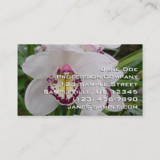 Carte De Visite Orchidée blanche II Élégante florale