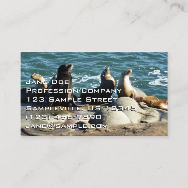 Carte De Visite Otaries de San Diego (Devant)