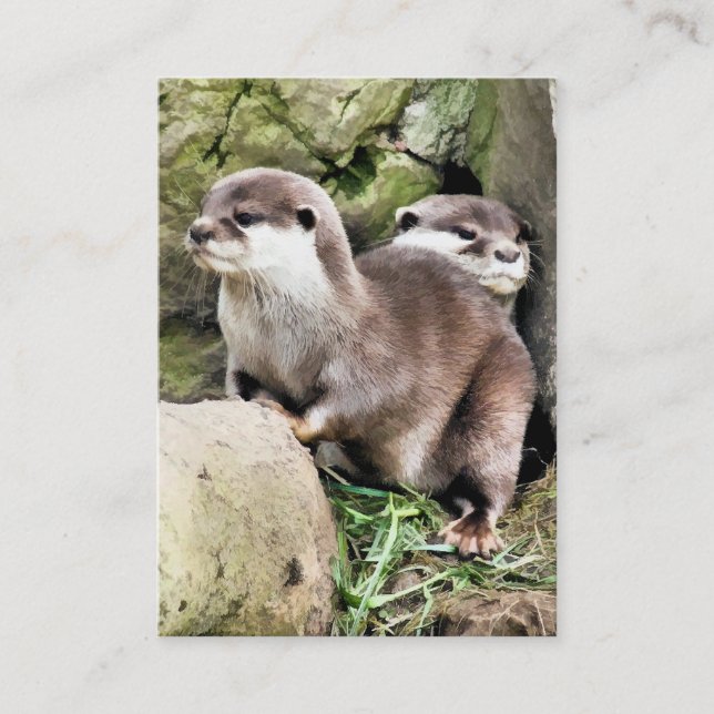 CARTE DE VISITE OTTERS (Devant)
