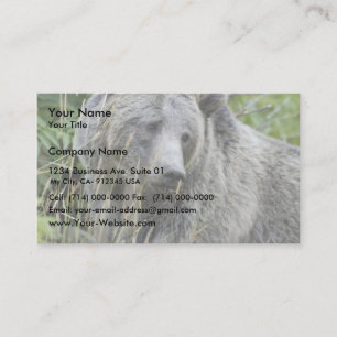 Carte De Visite Ours gris en parc national de Yellowstone