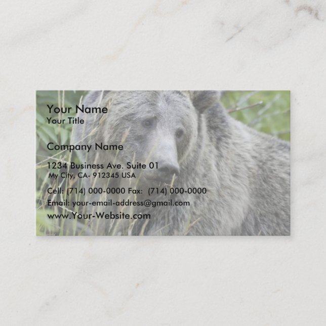 Carte De Visite Ours gris en parc national de Yellowstone (Devant)