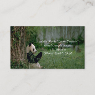 Carte De Visite Ours Panda