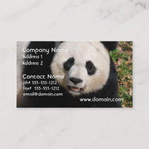 Carte De Visite Ours panda mignon