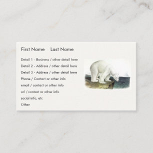 Carte De Visite Ours polaire (Ursus Maritimus), Quadrupèdes d'Audu