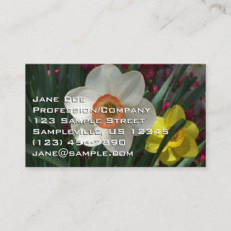 Carte De Visite Pair of Daffodils Pink and Yellow Spring Flowers