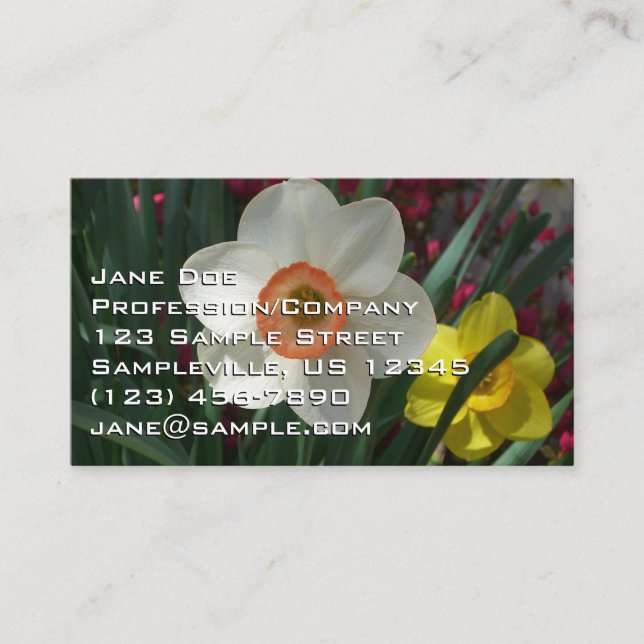 Carte De Visite Pair of Daffodils Pink and Yellow Spring Flowers (Devant)