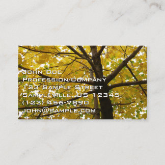 Carte De Visite Paire d'érables jaunes Nature d'automne