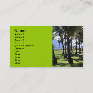 Carte De Visite Palmes de coco Nui Hawaii