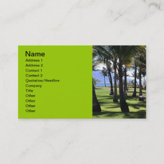 Carte De Visite Palmes de coco Nui Hawaii