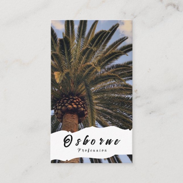 Carte De Visite Palmiers Ocean Beach Cocout (Devant)