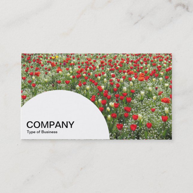 Carte De Visite Panneau demi-cercle - Lit de tulipes (Devant)