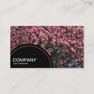 Carte De Visite Panneau demi-cercle (points) - Fleur de cerisier r