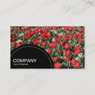 Carte De Visite Panneau demi-cercle (points) - Tulipes rouges