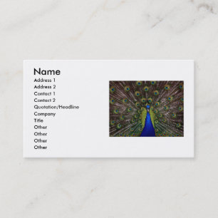 Carte de visite Paon