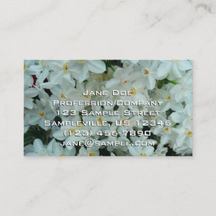 Carte De Visite Paperwhite Narcissus Fleurs blanches délicates
