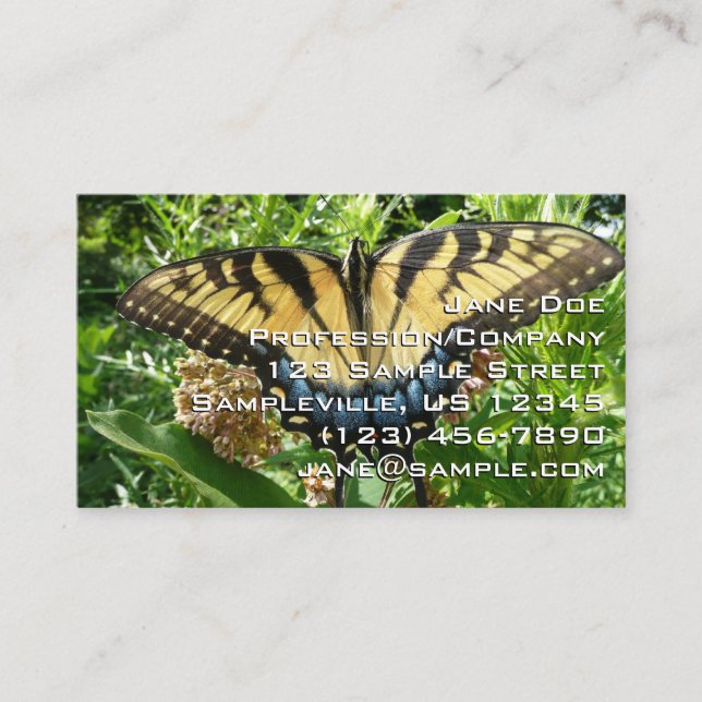 Carte De Visite Papillon à queue d'aronde II à Shenandoah (Devant)