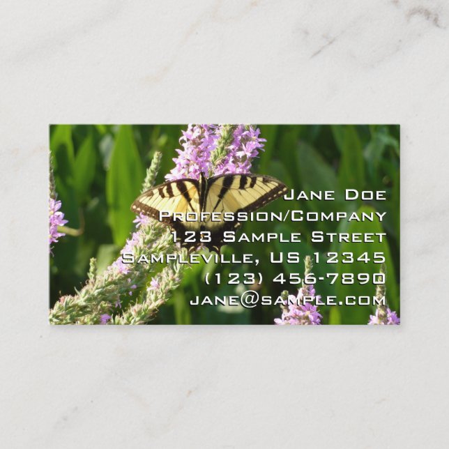 Carte De Visite Papillon à queue d'hirondelle sur des fleurs sauva (Devant)