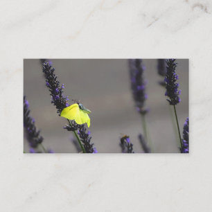 Carte De Visite Papillon Jaune sur Photo Macro de Lavande Violette