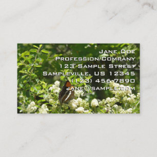Carte De Visite Papillon Soeur de Californie à Yosemite