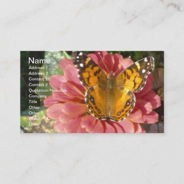 Carte De Visite Papillon sur une Zinnia rose (Devant)