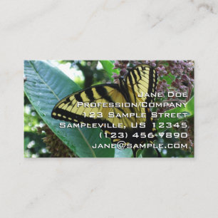 Carte De Visite Papillon Swallowtail I sur Milkweed à Shenandoah
