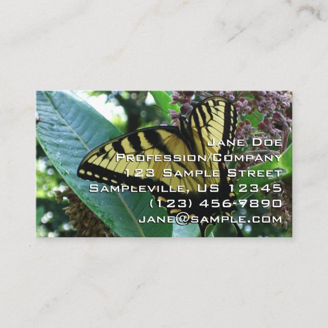 Carte De Visite Papillon Swallowtail I sur Milkweed à Shenandoah (Devant)