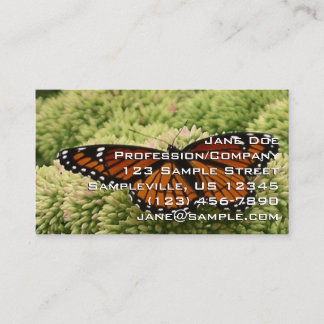 Carte De Visite Papillon Viceroy Belle photographie de la nature
