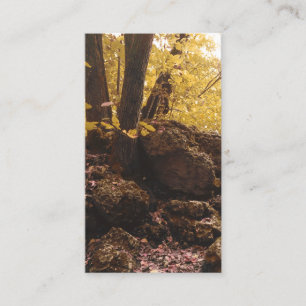 Carte De Visite parc national backbone iowa