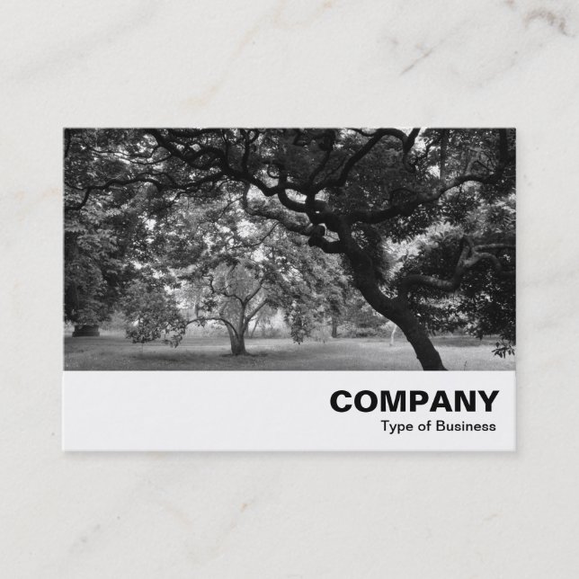 Carte De Visite Parmi les Magnolia Trees BW (Devant)