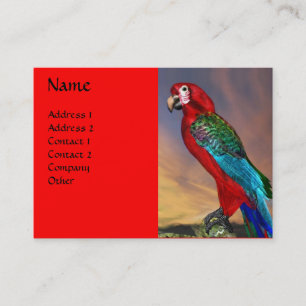 CARTE DE VISITE PARROS HYPER / ARBE ROUGE