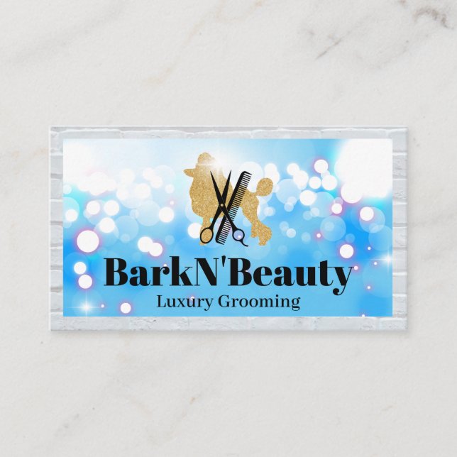 Carte De Visite Parties scintillant | Outils de mise en forme | Lu (Devant)