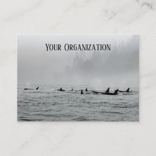 Carte De Visite Passage des baleines