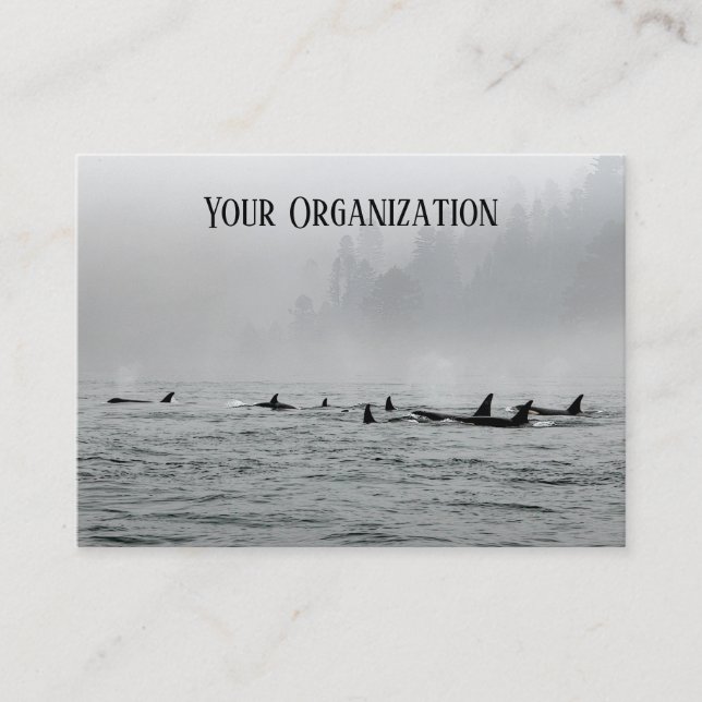 Carte De Visite Passage des baleines (Devant)