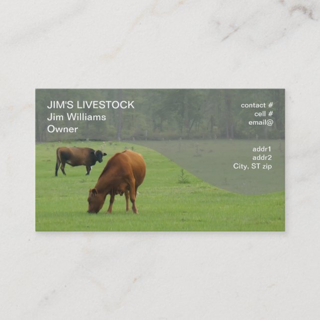 Carte De Visite pâturage brun de vaches (Devant)