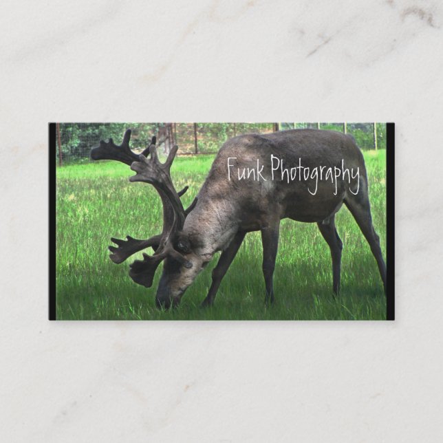 Carte De Visite Pâturage du caribou (Devant)