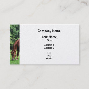 Carte De Visite Pâturage du cheval dans le pâturage - Finition Pla