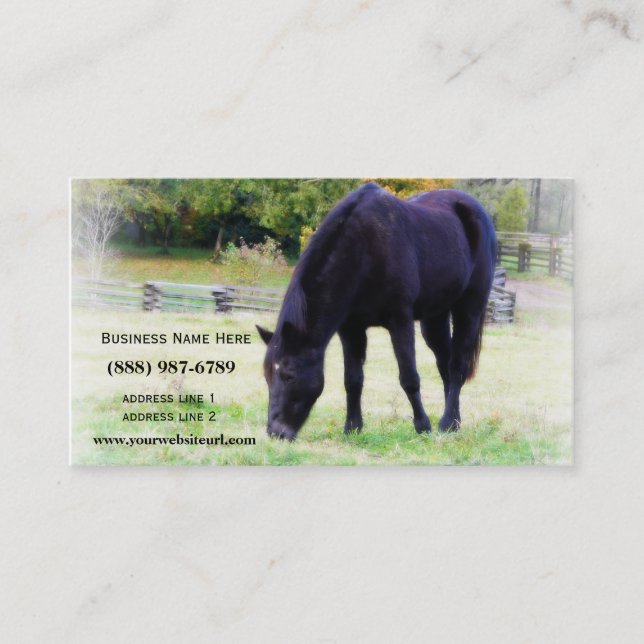Carte De Visite Pâturage noir de cheval (Devant)