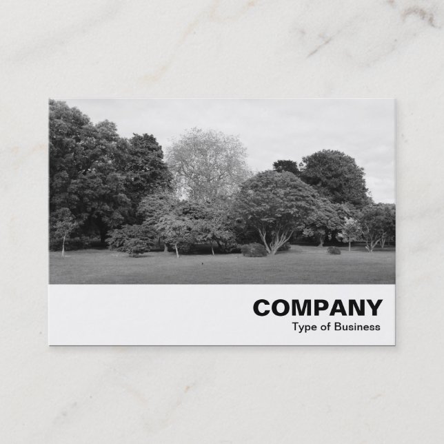 Carte De Visite Paysage du parc (Devant)