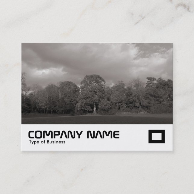 Carte De Visite Paysage du parc (Devant)